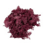 Moss 500g Burgundy