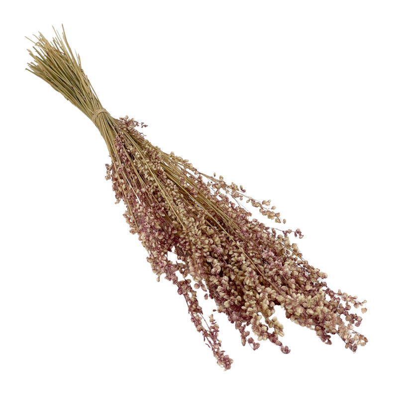 Briza Moyen Naturelle