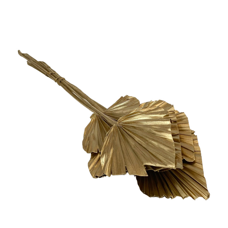 Palm Spear Or