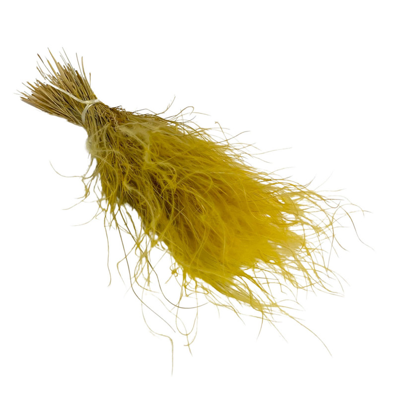 Stipa Pennata Jaune