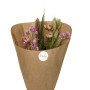 Crique Bouquet