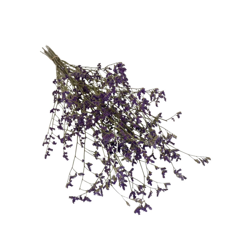 Limonium Violet Naturel