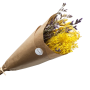 Yellow Combi