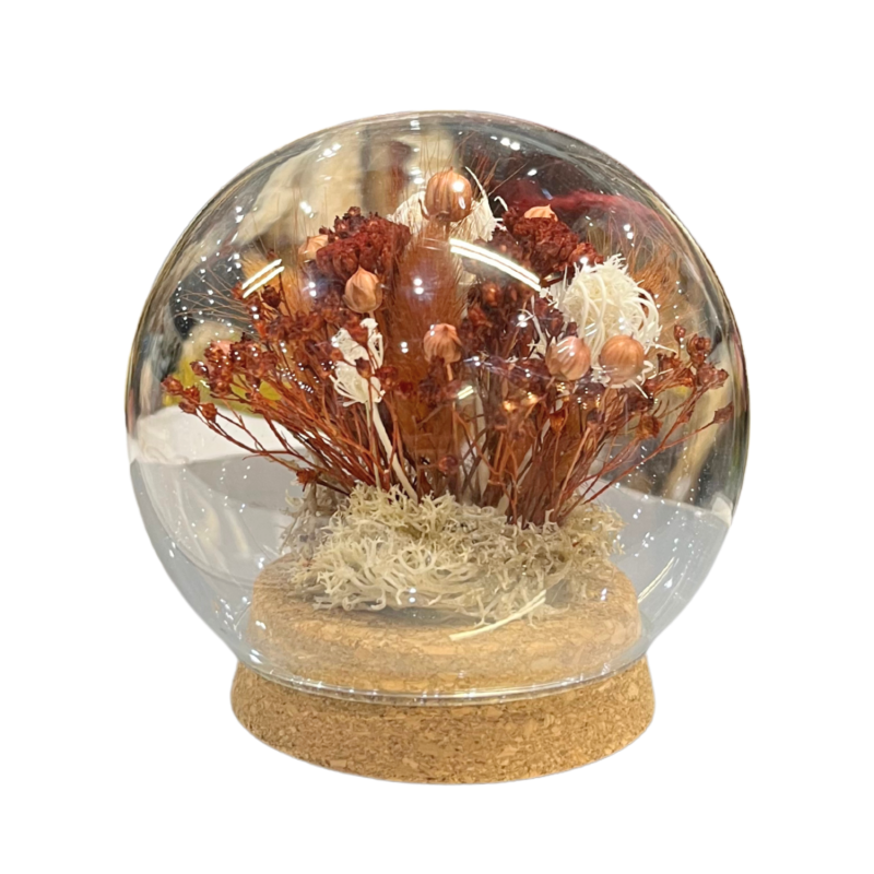 Hazelnut bubble