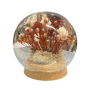 Hazelnut bubble