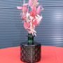 Vase Nova