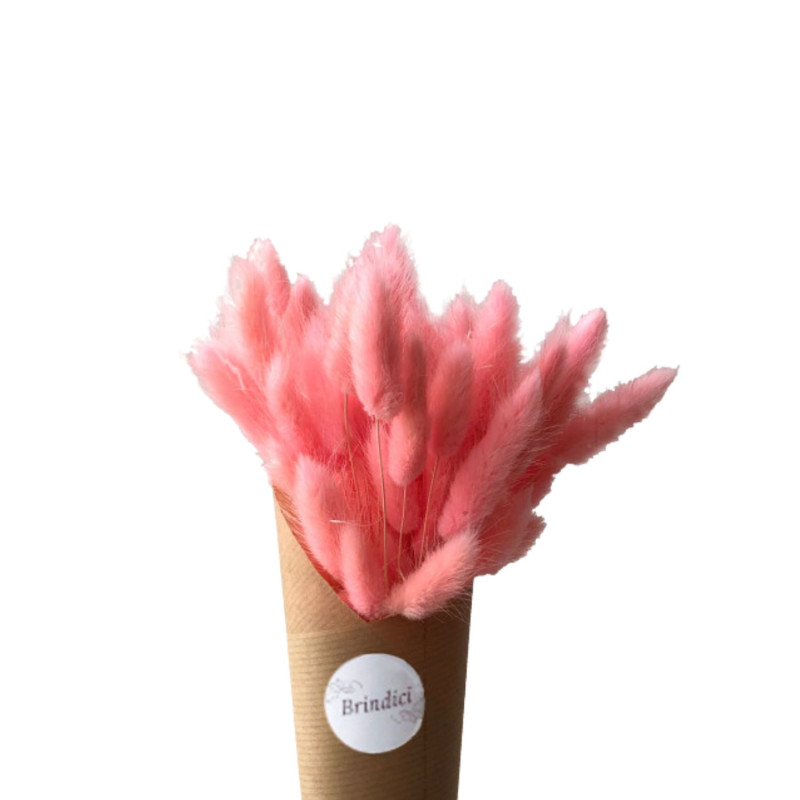 Lacanau Rose Antique