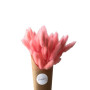 Lacanau Rose Antique