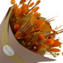 Bouquet Canelle