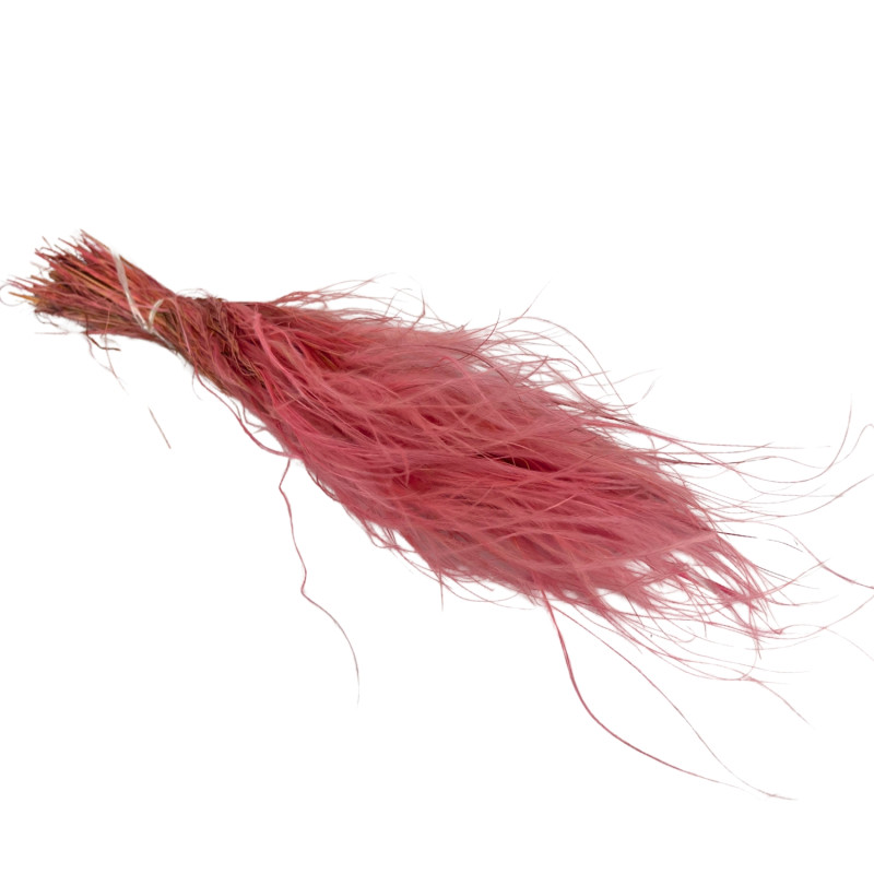 copy of Stipa Pennata Natural