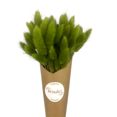 copy of Lacanau Terracotta